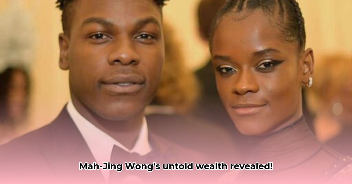 mah-jing-wong-net-worth
